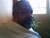 Beto_em_casa_minor