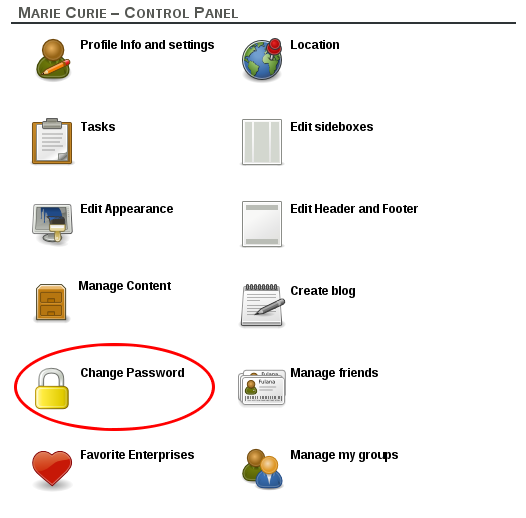 Change password in control panel