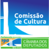 Comissao cultura  display