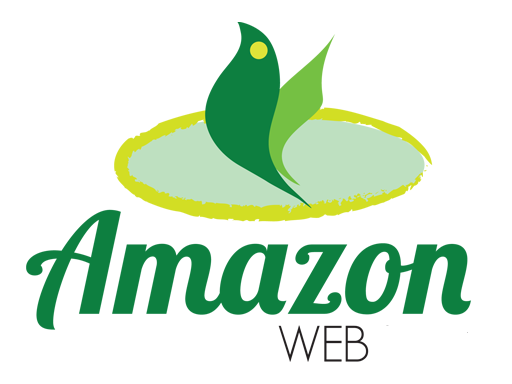 Logo amazonweb display