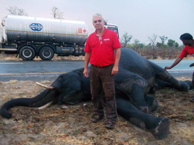 Accidente de tránsito display