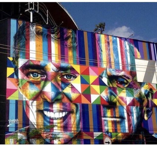 Obra de arte de kobra destruida por doria display