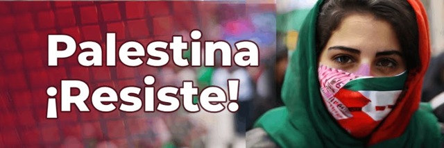 Palestina 1 display